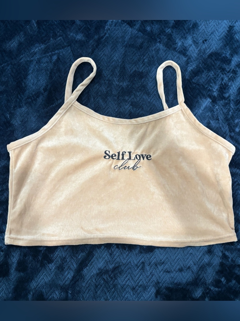 Birch & Stone Soft Beige Velvet Cami
